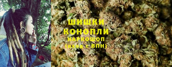 тгк Бородино