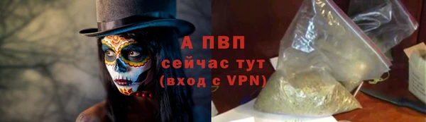 тгк Бородино