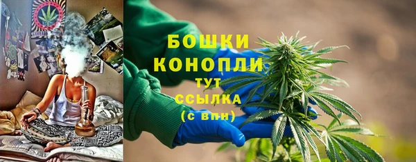 тгк Бородино