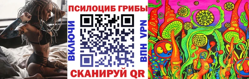 Псилоцибиновые грибы мицелий  Тверь 